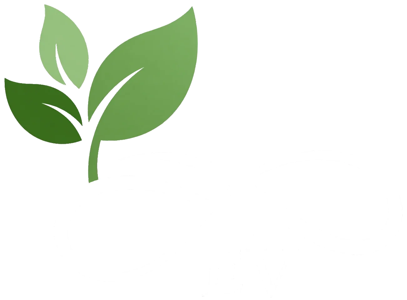EV Ambiental