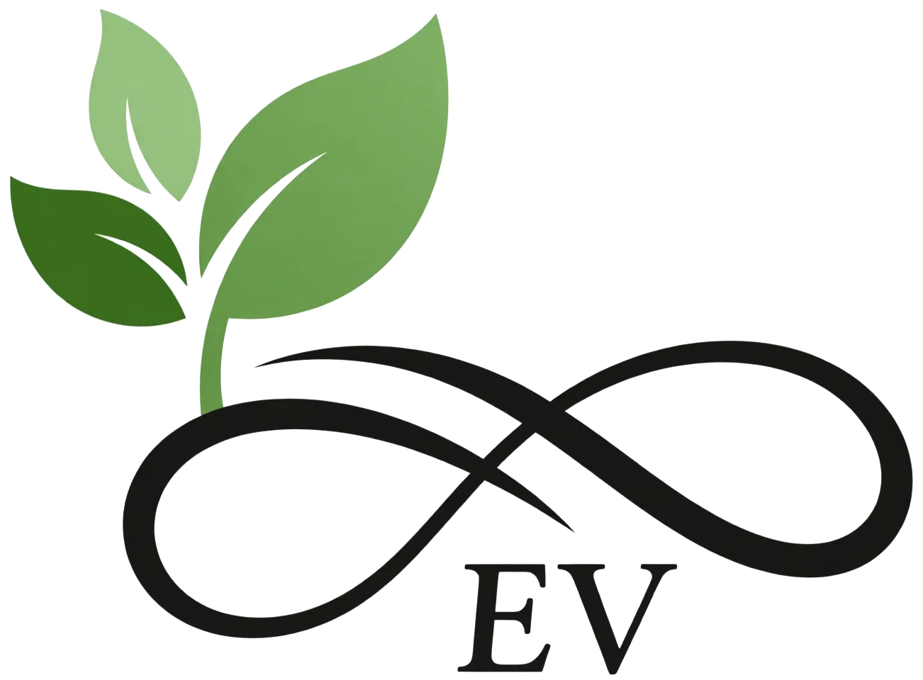 EV Ambiental
